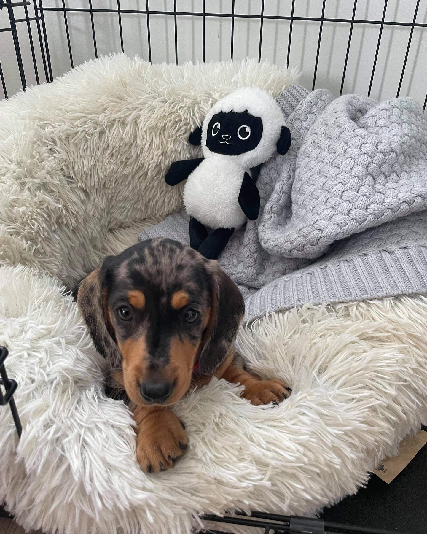 Millie Junge